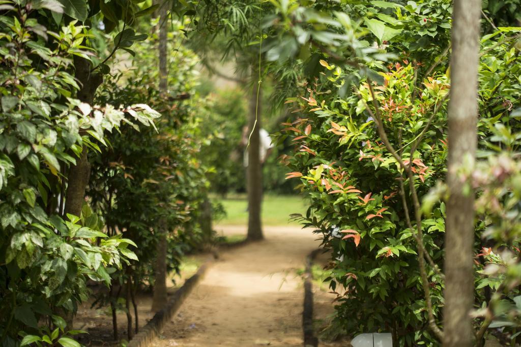 Ranna 212 Beach Resort Kahandamodara المظهر الخارجي الصورة